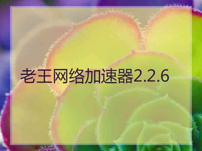 老王网络加速器2.2.6