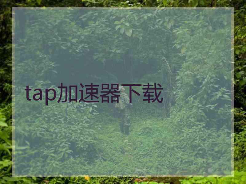 tap加速器下载