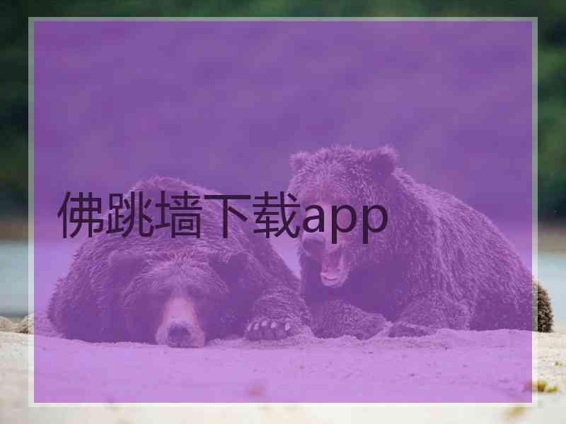 佛跳墙下载app