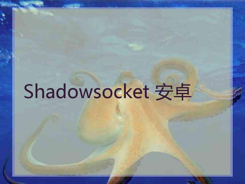 Shadowsocket 安卓