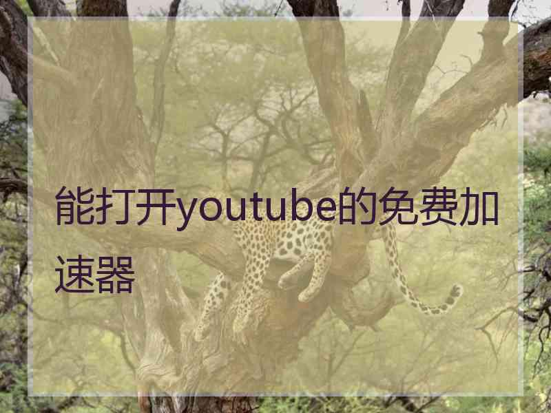 能打开youtube的免费加速器