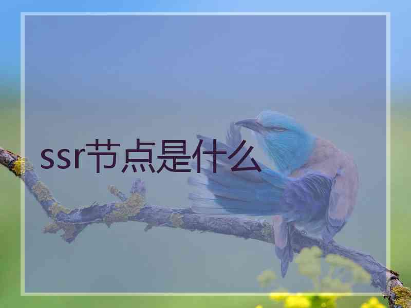 ssr节点是什么