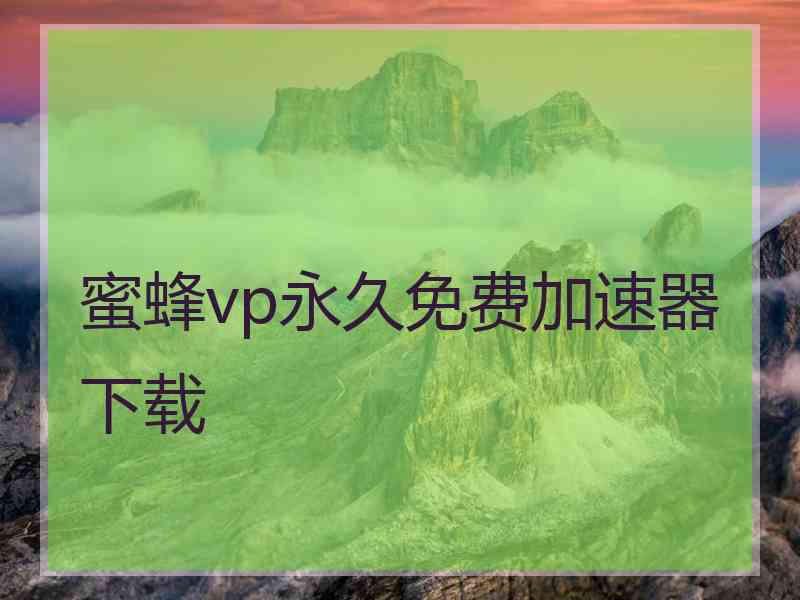 蜜蜂vp永久免费加速器下载