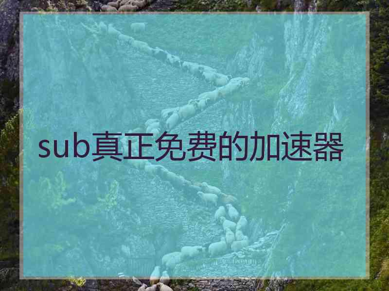 sub真正免费的加速器