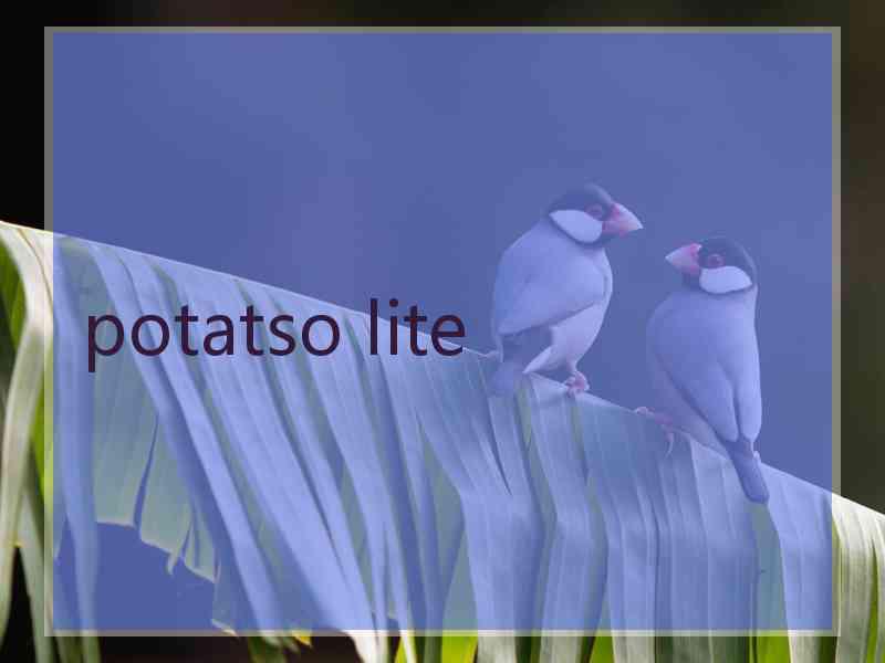 potatso lite