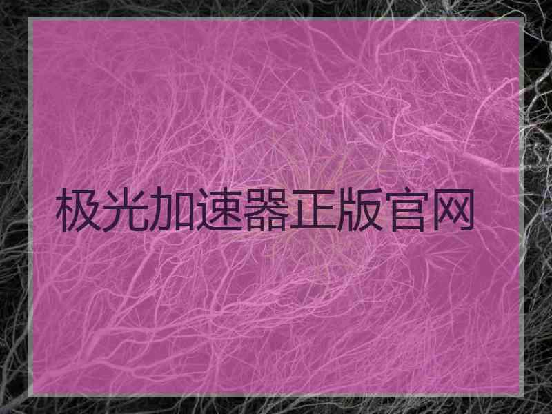 极光加速器正版官网