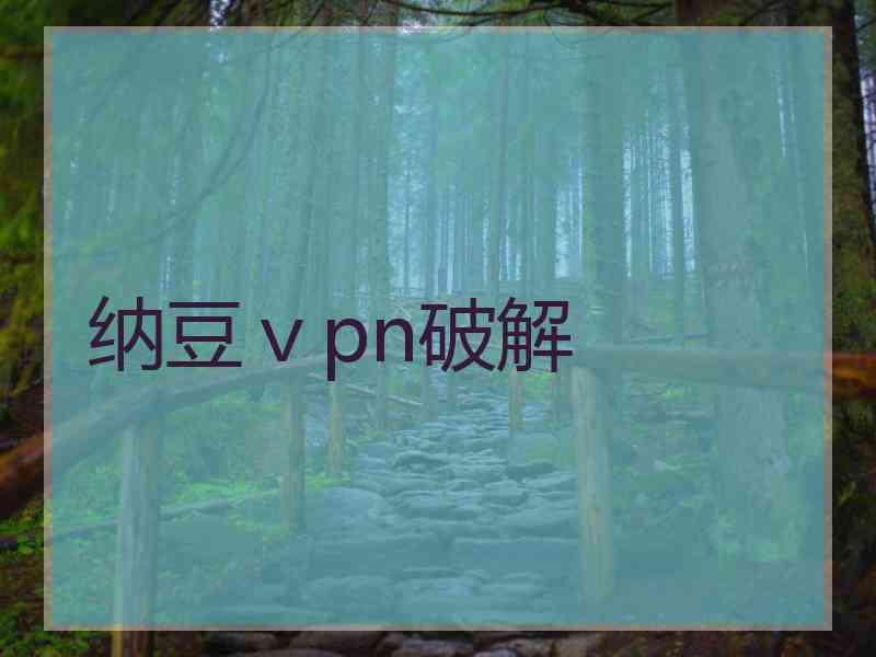 纳豆ⅴpn破解