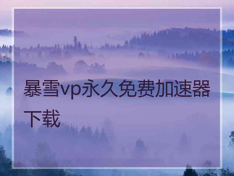 暴雪vp永久免费加速器下载