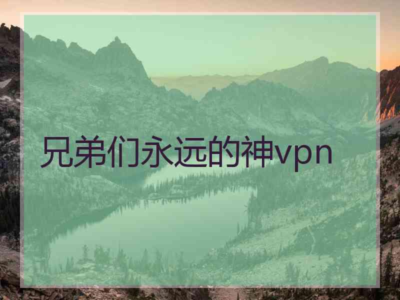 兄弟们永远的神vpn