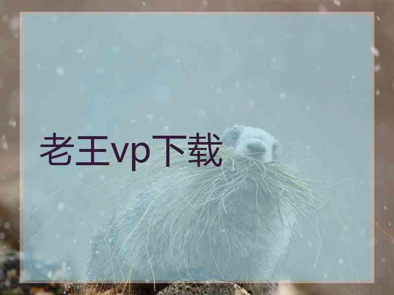 老王vp下载