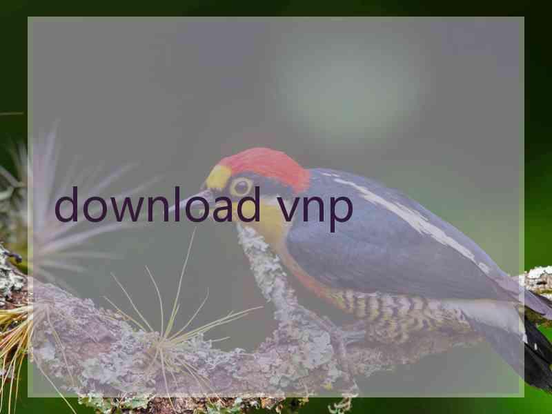 download vnp