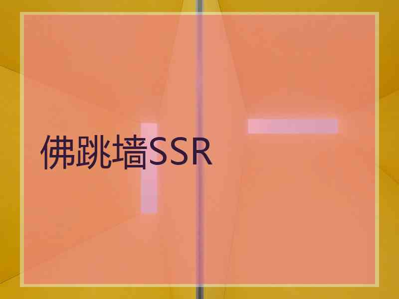 佛跳墙SSR