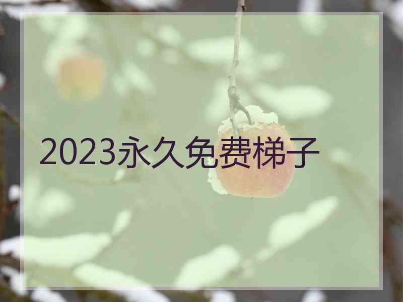 2023永久免费梯子