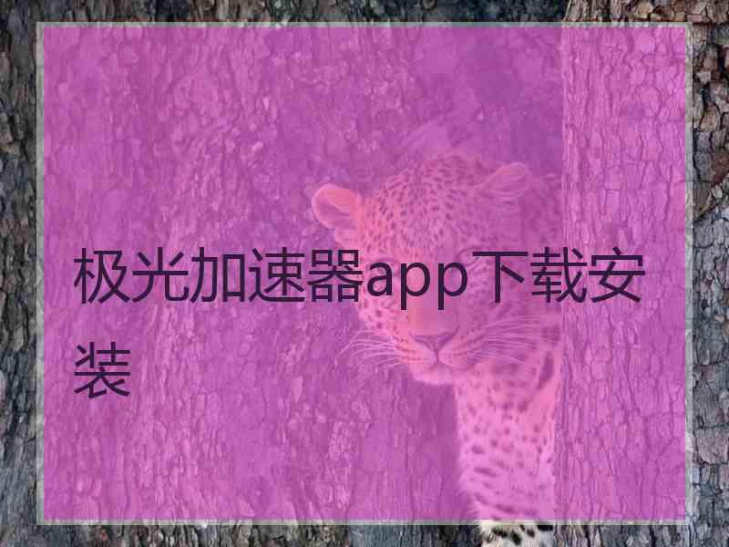 极光加速器app下载安装