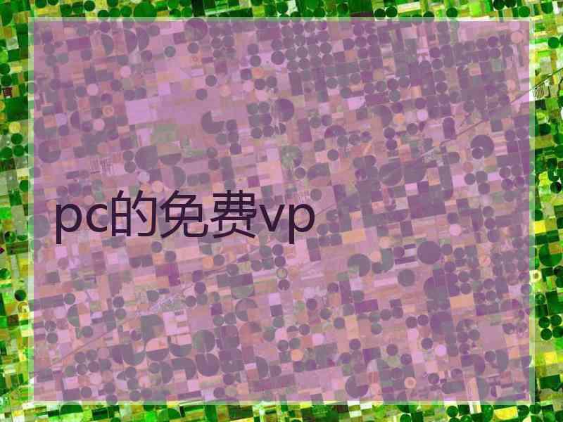 pc的免费vp