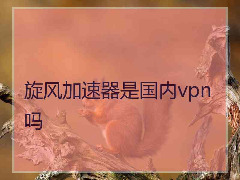 旋风加速器是国内vpn吗