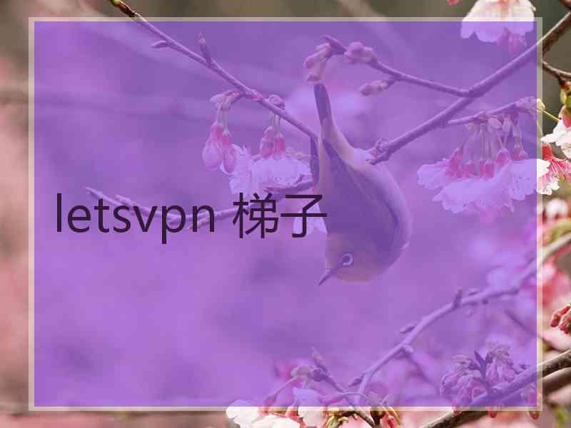 letsvpn 梯子