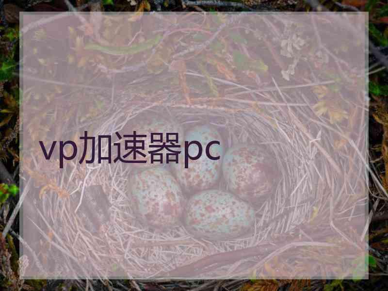 vp加速器pc