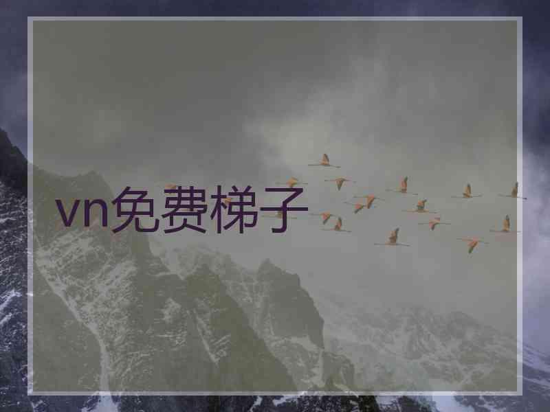 vn免费梯子