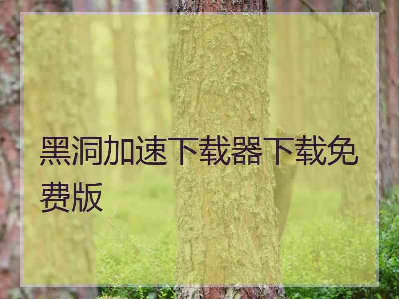 黑洞加速下载器下载免费版