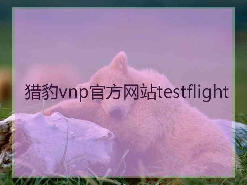 猎豹vnp官方网站testflight