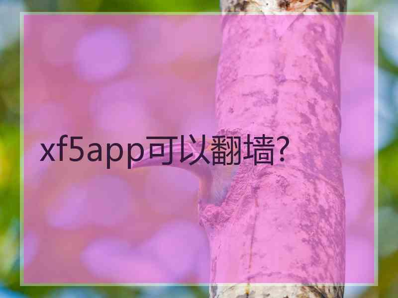 xf5app可以翻墙?