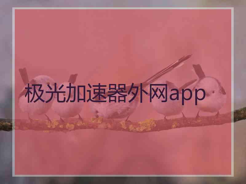 极光加速器外网app