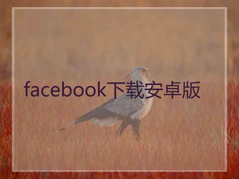 facebook下载安卓版