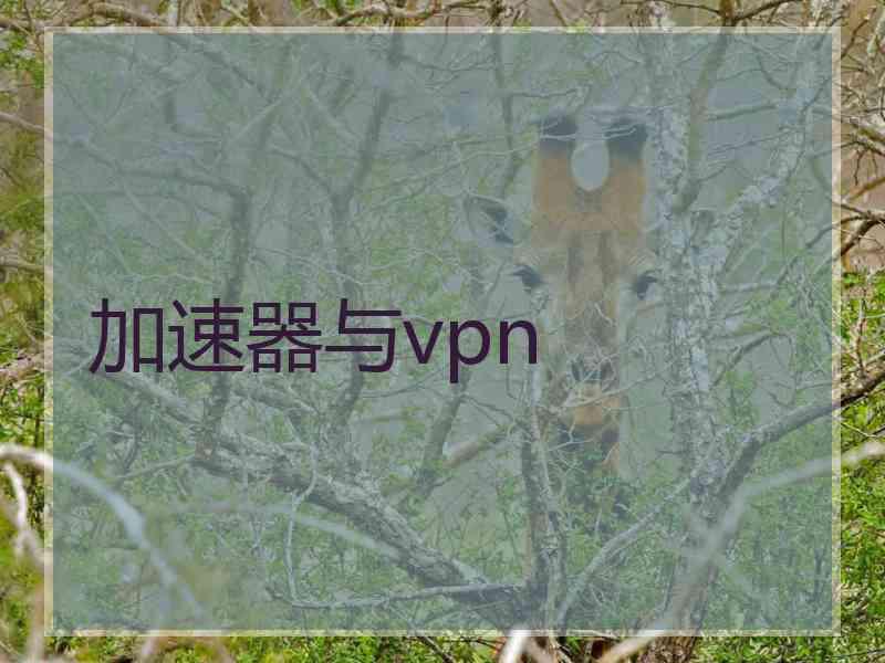 加速器与vpn