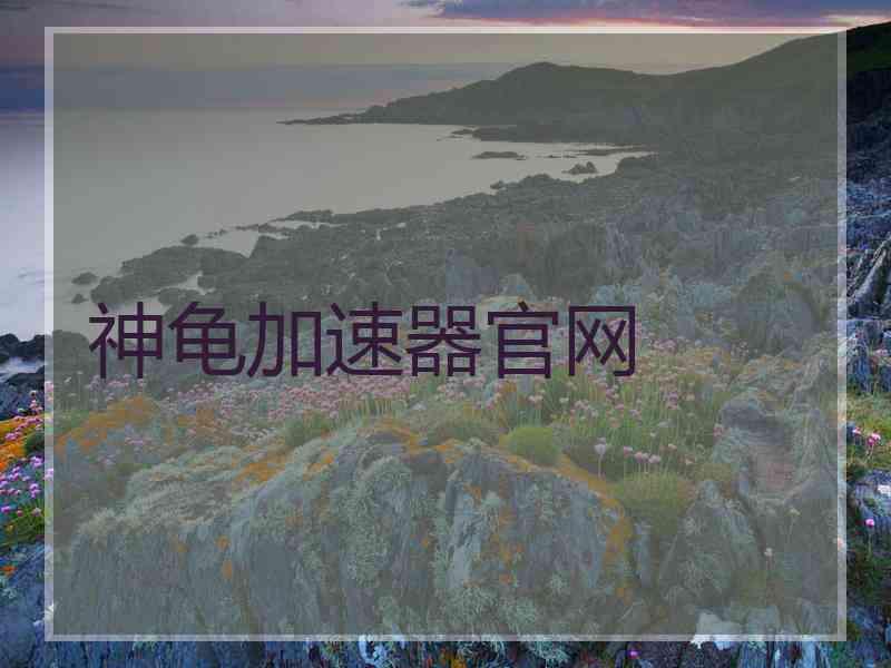 神龟加速器官网