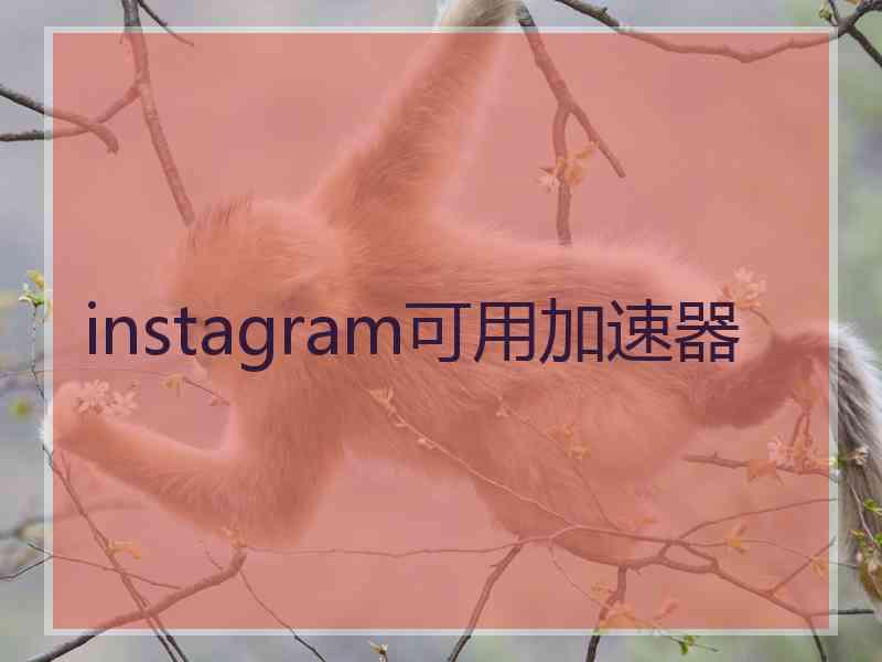 instagram可用加速器