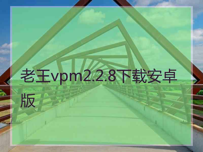 老王vpm2.2.8下载安卓版