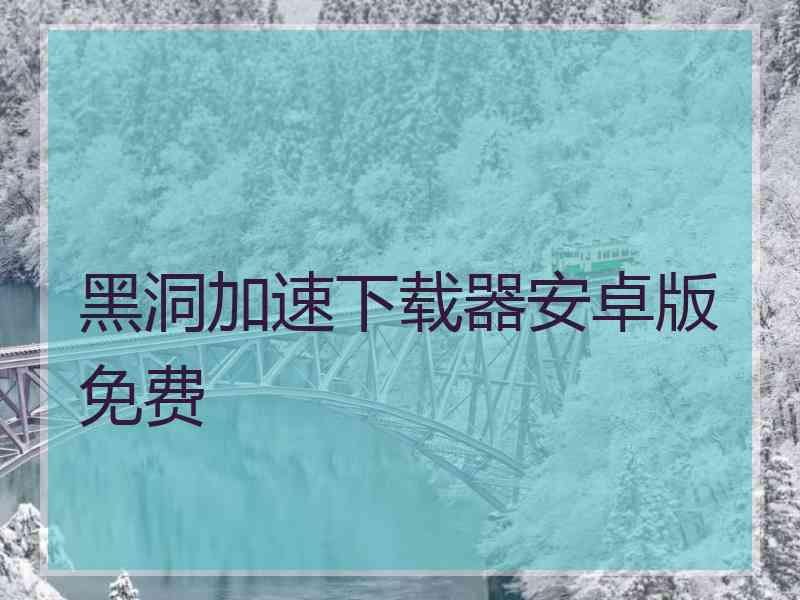 黑洞加速下载器安卓版免费