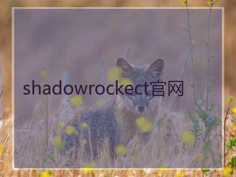 shadowrockect官网