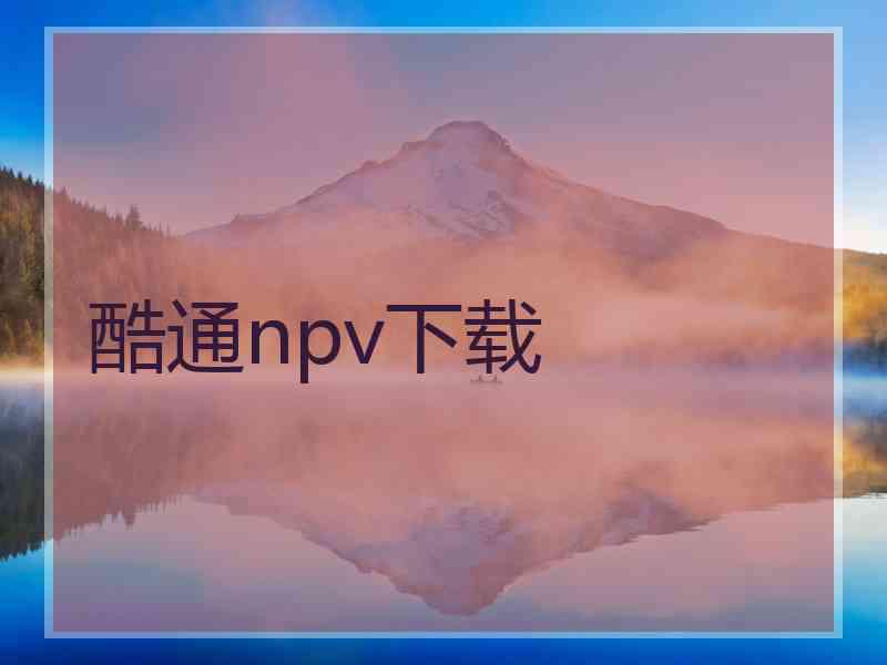 酷通npv下载