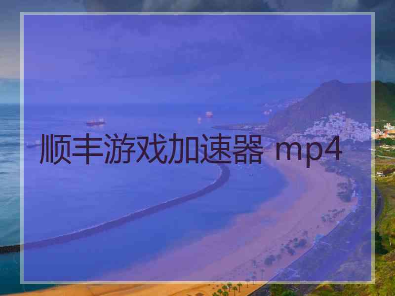 顺丰游戏加速器 mp4