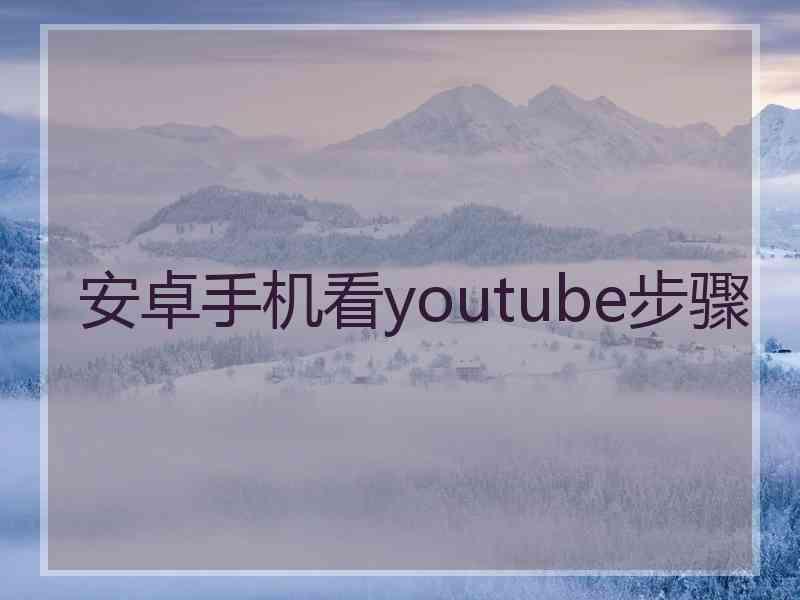 安卓手机看youtube步骤