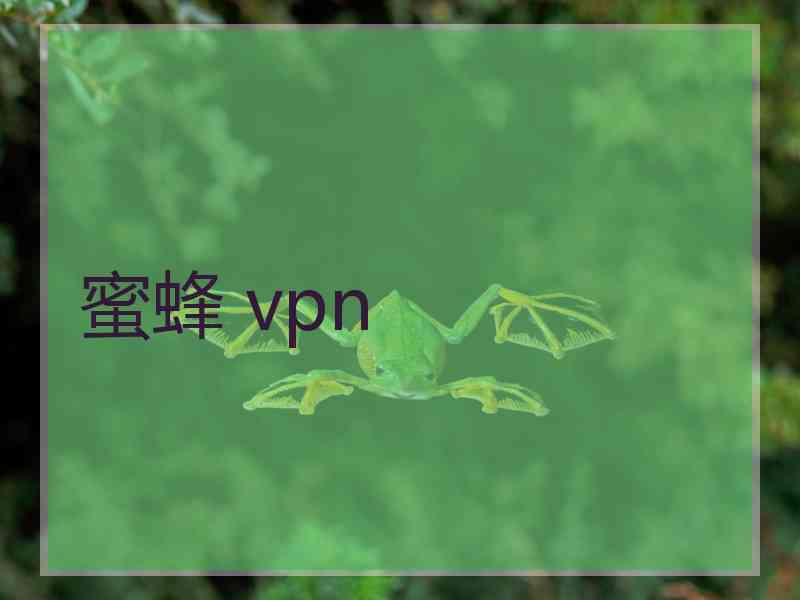 蜜蜂 vpn