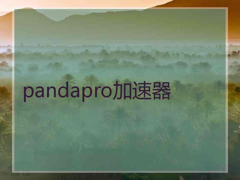 pandapro加速器