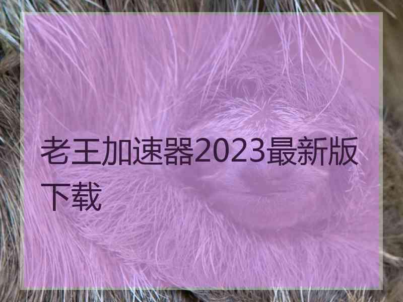 老王加速器2023最新版下载