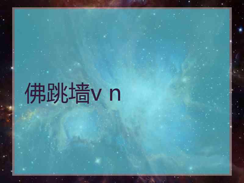 佛跳墙v n