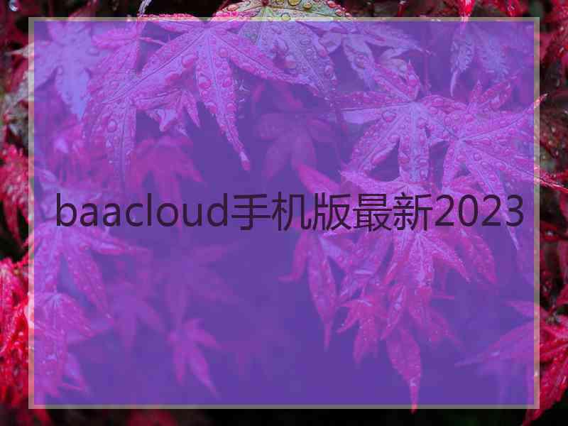 baacloud手机版最新2023