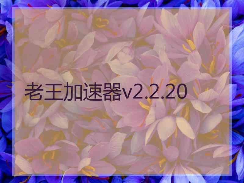 老王加速器v2.2.20