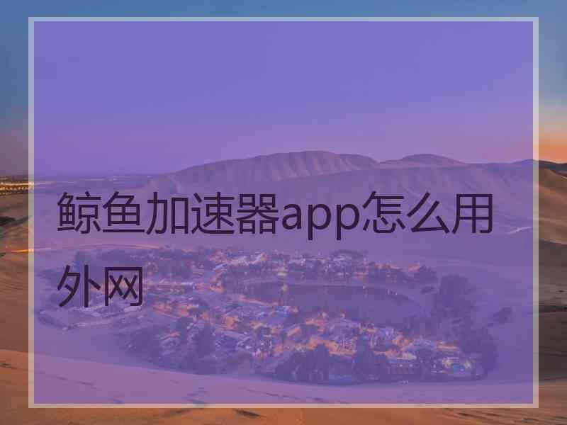 鲸鱼加速器app怎么用外网