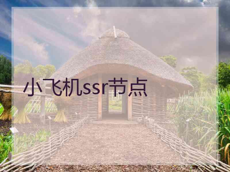 小飞机ssr节点