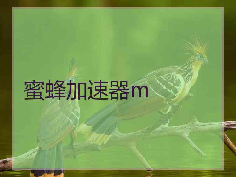 蜜蜂加速器m