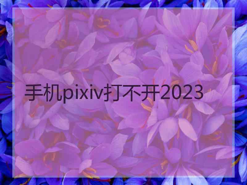 手机pixiv打不开2023