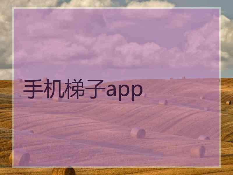 手机梯子app