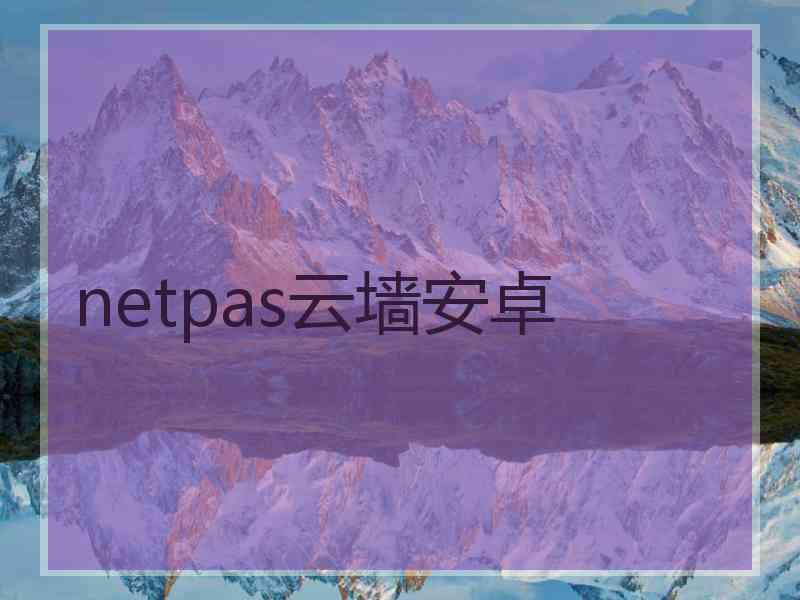 netpas云墙安卓