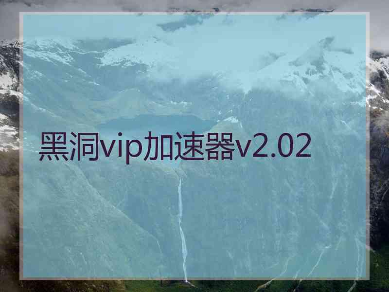 黑洞vip加速器v2.02